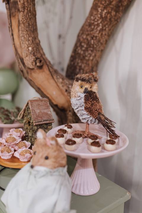 Aniversário infantil com tema de floresta encantada'