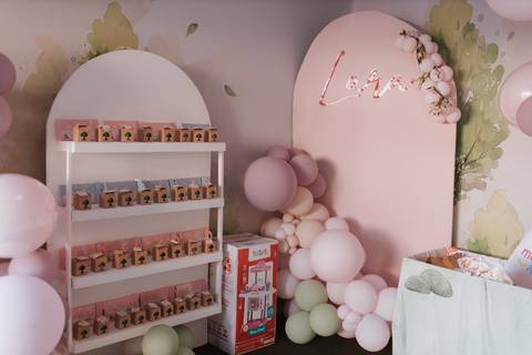 Aniversário infantil com tema de floresta encantada'