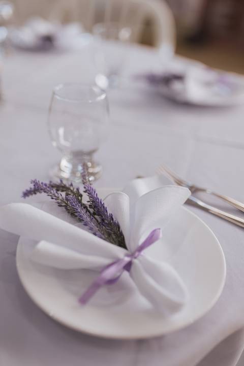 Aniversário infantil com tema de lavanda'