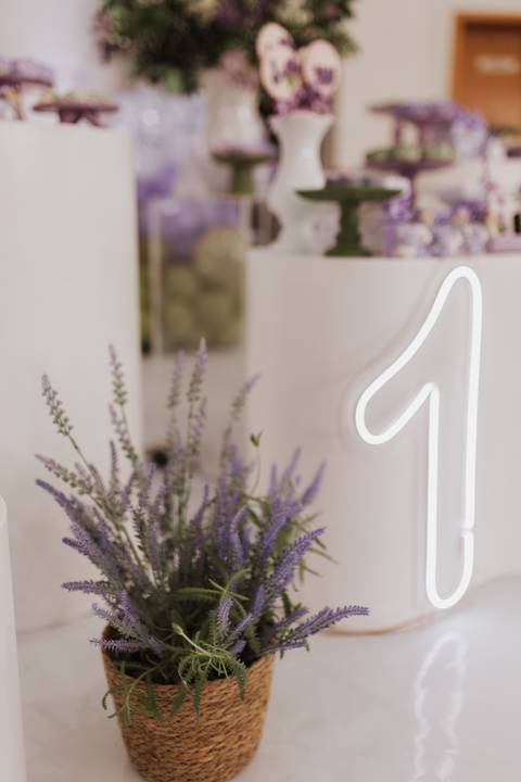 Aniversário infantil com tema de lavanda'