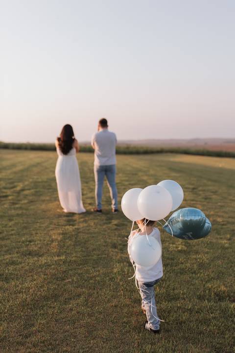 Inspiração de ensaio revelação de sexo do baby no campo '