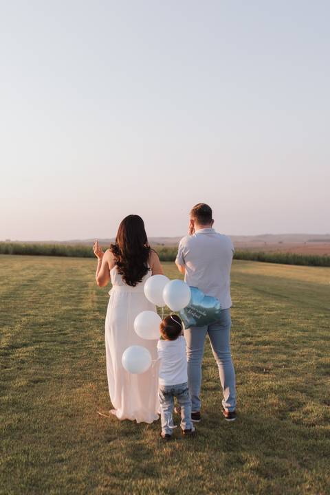 Inspiração de ensaio revelação de sexo do baby no campo '
