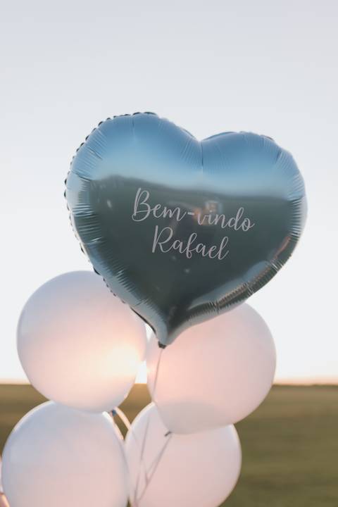 Inspiração de ensaio revelação de sexo do baby no campo '