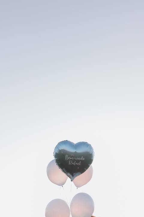 Inspiração de ensaio revelação de sexo do baby no campo '