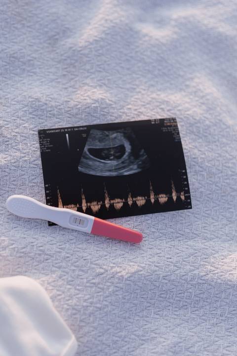 Inspiração de ensaio revelação de sexo do baby no campo '