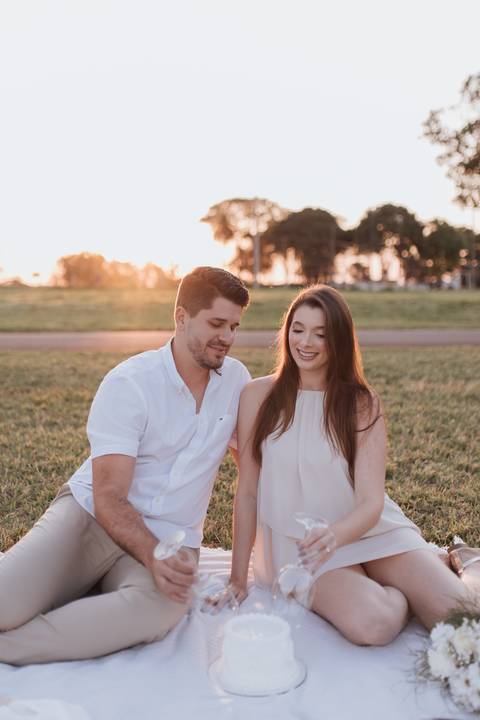 Inspiração de ensaio revelação de sexo do baby no campo '