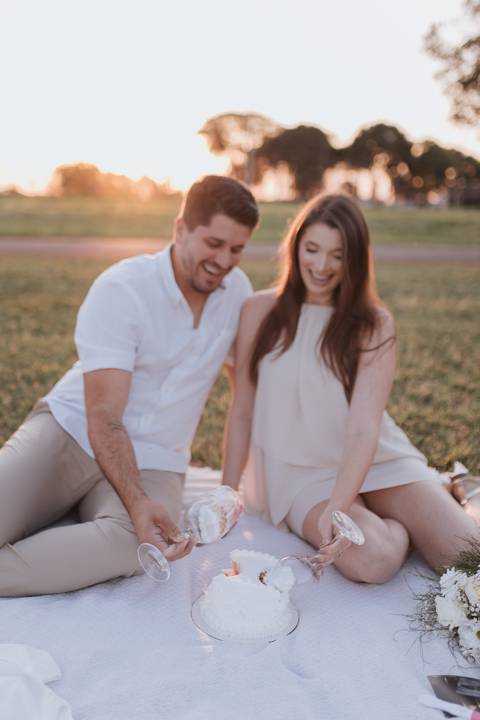 Inspiração de ensaio revelação de sexo do baby no campo '