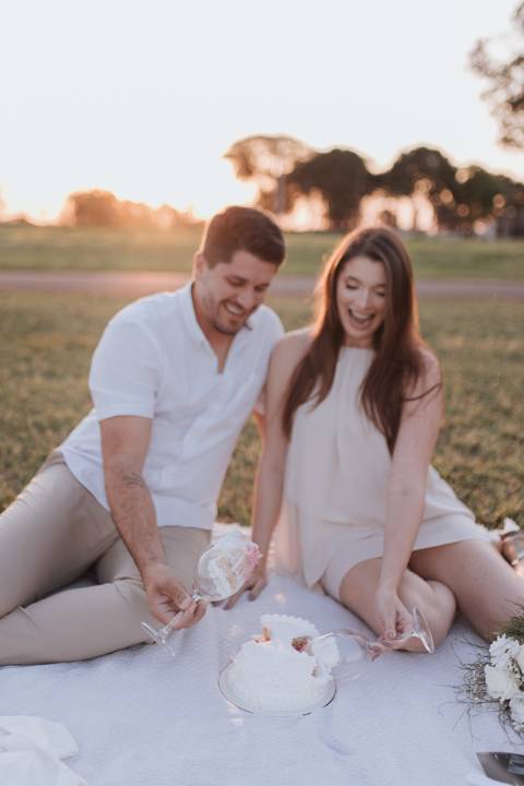 Inspiração de ensaio revelação de sexo do baby no campo '