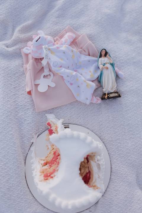 Inspiração de ensaio revelação de sexo do baby no campo '