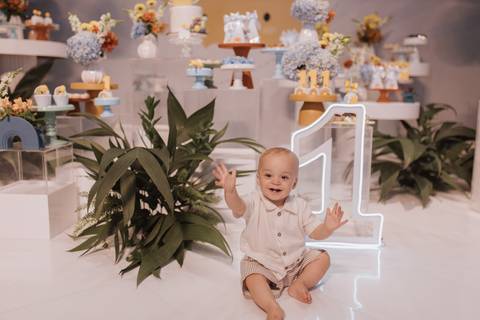 aniversário de 1 ano com tema  