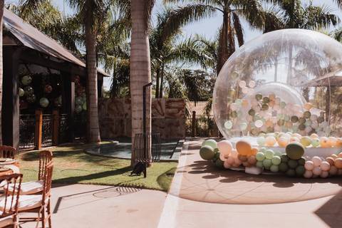 Decoração de aniversário de 1 ano com tema de bosque'