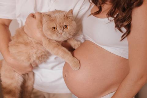 ensaio de gestante em casa'
