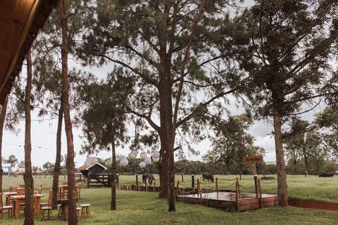 Inspiração de chá revelação'