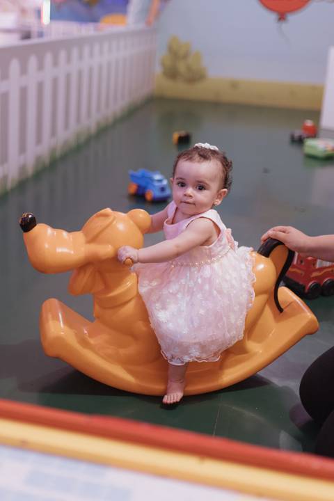 Decoração de aniversário de 1 ano com tema de lavanda'