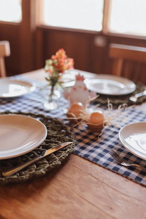 Inspiração de decoração de aniversário de 1 ano com tema de fazenda'