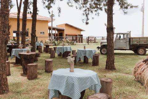 Inspiração de decoração de aniversário de 1 ano com tema de fazenda'