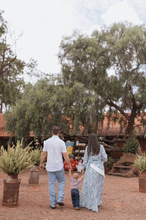 Inspiração de decoração de aniversário de 1 ano com tema de fazenda'