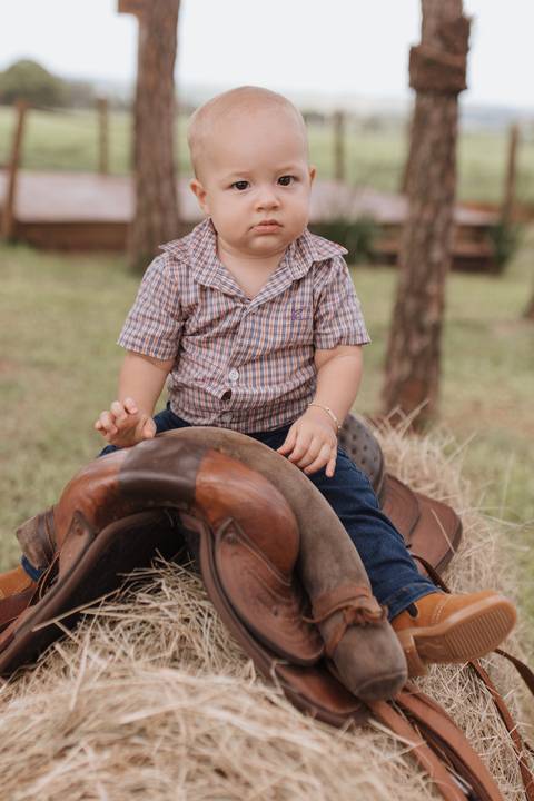Inspiração de decoração de aniversário de 1 ano com tema de fazenda'