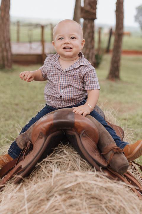 Inspiração de decoração de aniversário de 1 ano com tema de fazenda'