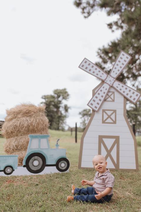 Inspiração de decoração de aniversário de 1 ano com tema de fazenda'