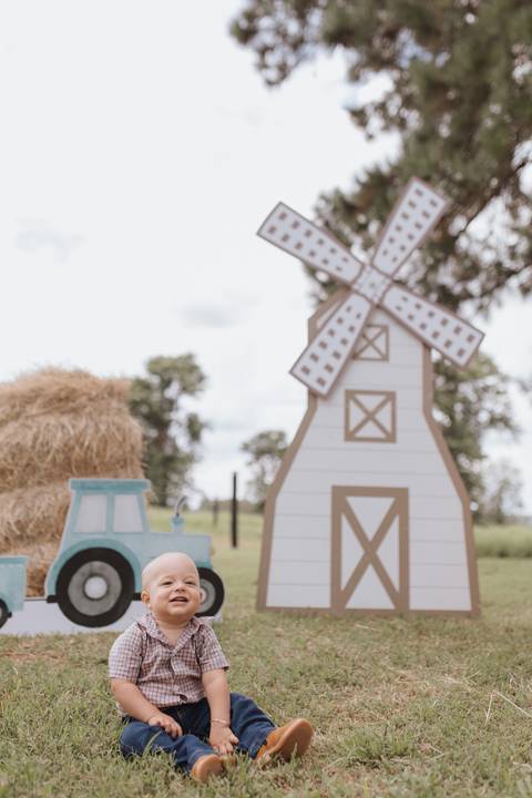 Inspiração de decoração de aniversário de 1 ano com tema de fazenda'