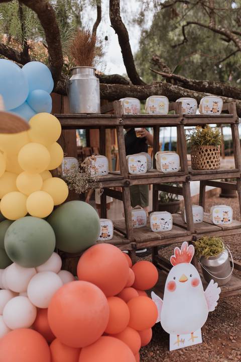 Inspiração de decoração de aniversário de 1 ano com tema de fazenda'