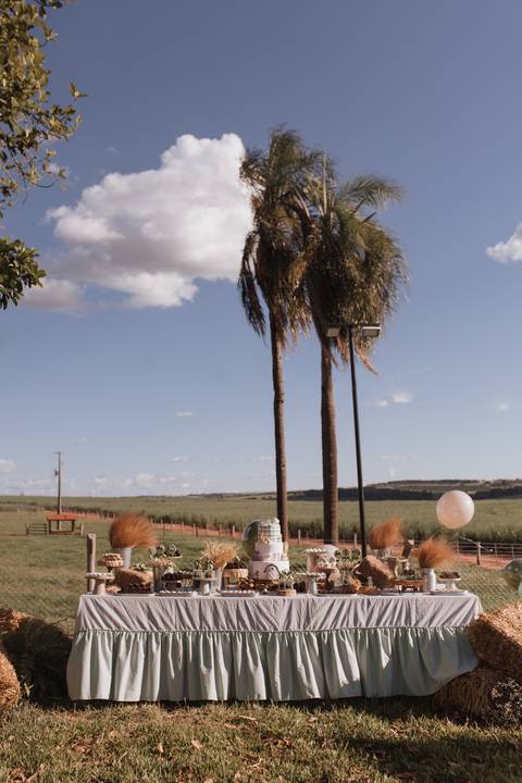 Inspiração de decoração de aniversário de 1 ano com tema de fazenda'