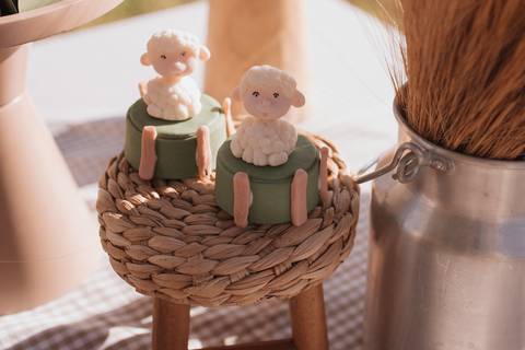 Inspiração de decoração de aniversário de 1 ano com tema de fazenda'