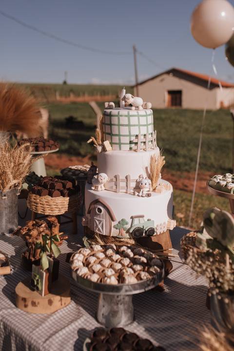 Inspiração de decoração de aniversário de 1 ano com tema de fazenda'
