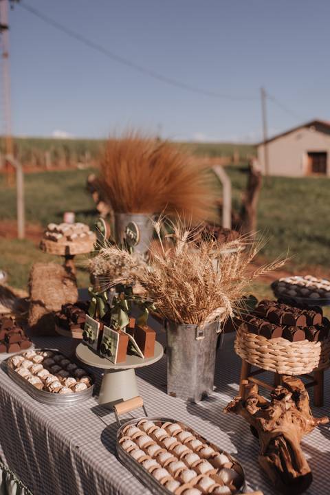 Inspiração de decoração de aniversário de 1 ano com tema de fazenda'