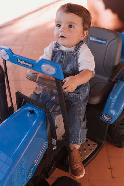 Inspiração de decoração de aniversário de 1 ano com tema de fazenda'