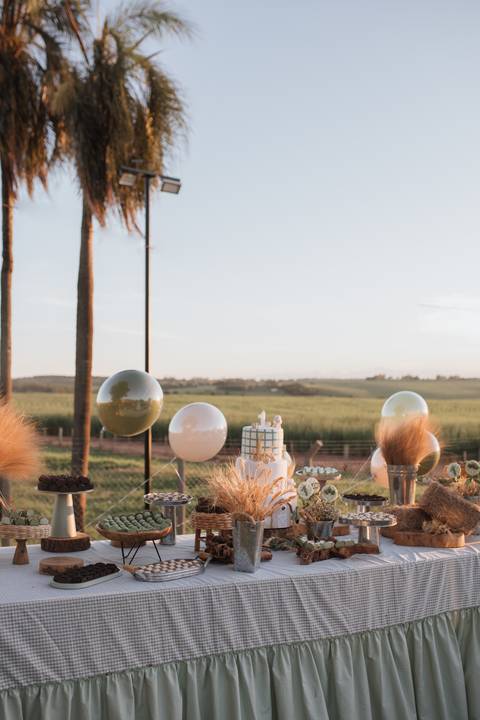 Inspiração de decoração de aniversário de 1 ano com tema de fazenda'