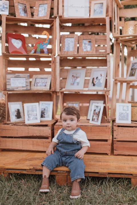 Inspiração de decoração de aniversário de 1 ano com tema de fazenda'