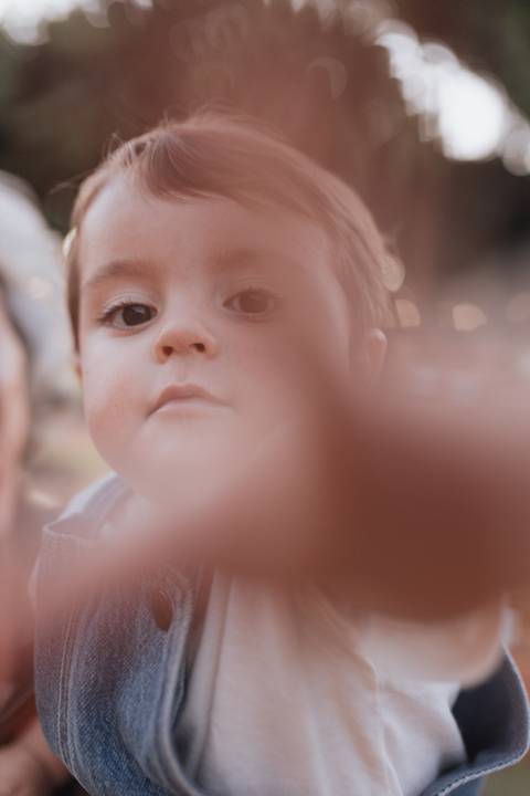 Inspiração de decoração de aniversário de 1 ano com tema de fazenda'