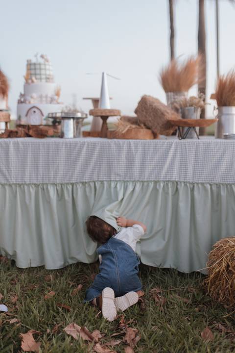 Inspiração de decoração de aniversário de 1 ano com tema de fazenda'