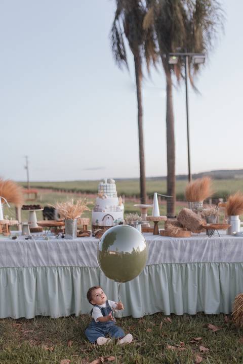 Inspiração de decoração de aniversário de 1 ano com tema de fazenda'