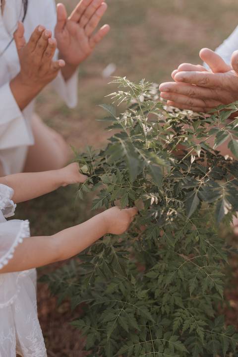 ensaio em família na fazenda'