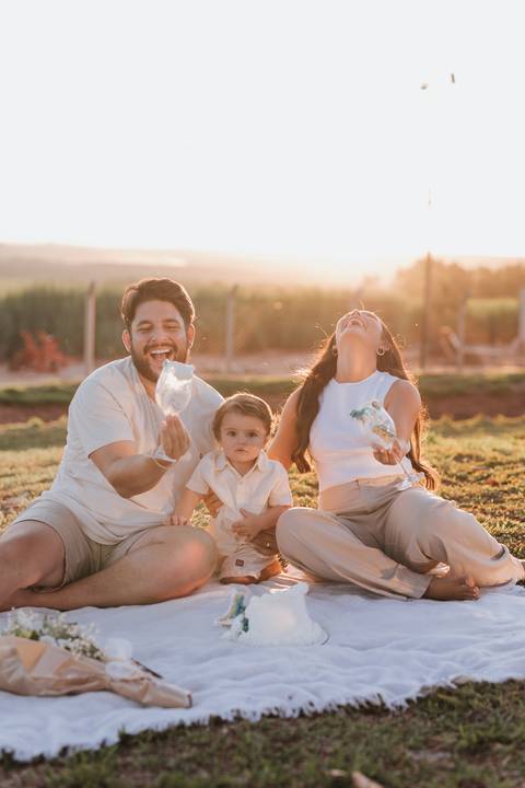 Inspiração de ensaio revelação de sexo do baby no campo '