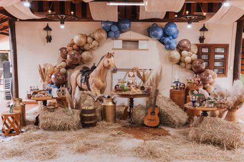 Decoração de aniversário de 6 anos com tema de fazenda'