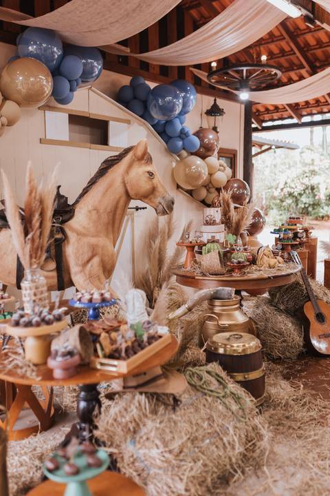 Decoração de aniversário de 6 anos com tema de fazenda'