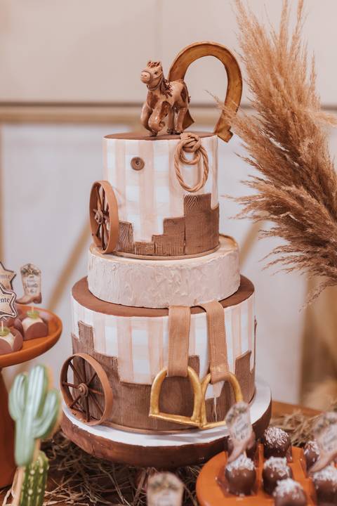 Decoração de aniversário de 6 anos com tema de fazenda'