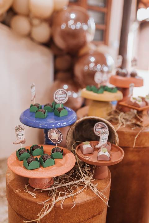 Decoração de aniversário de 6 anos com tema de fazenda'