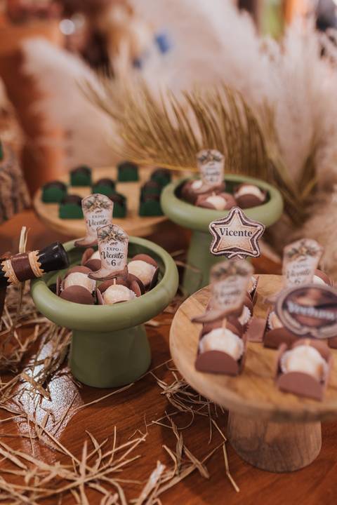 Decoração de aniversário de 6 anos com tema de fazenda'