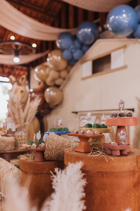 Decoração de aniversário de 6 anos com tema de fazenda'