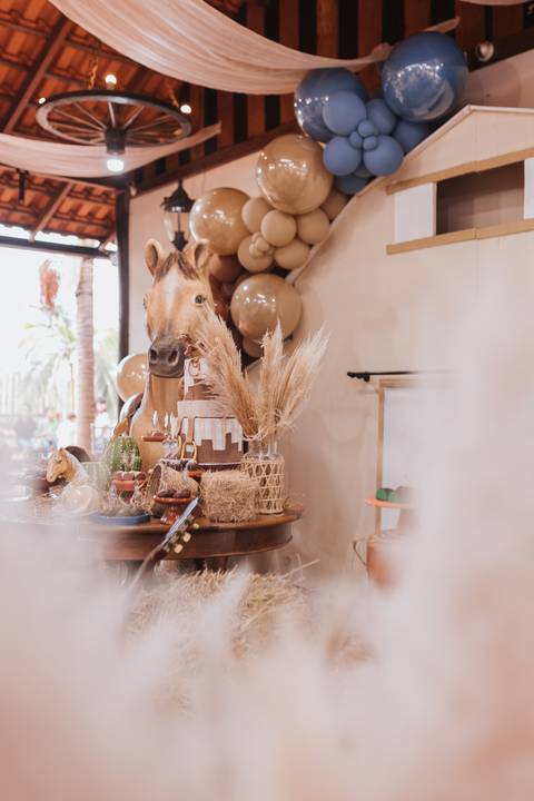 Decoração de aniversário de 6 anos com tema de fazenda'