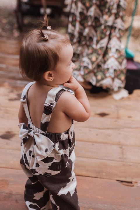 Decoração de aniversário de 6 anos com tema de fazenda'