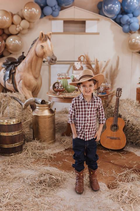 Decoração de aniversário de 6 anos com tema de fazenda'