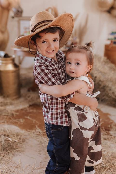 Decoração de aniversário de 6 anos com tema de fazenda'