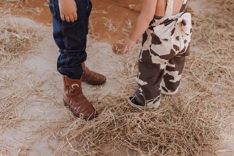 Decoração de aniversário de 6 anos com tema de fazenda'