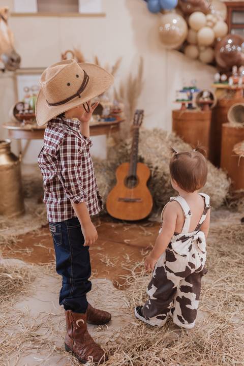 Decoração de aniversário de 6 anos com tema de fazenda'